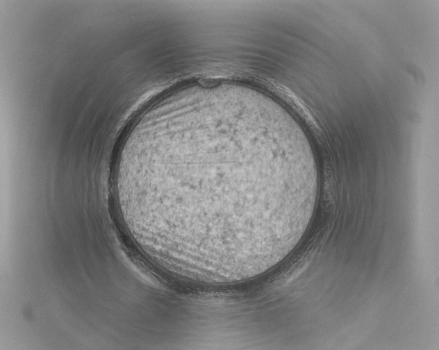 X0000114530530200911161338