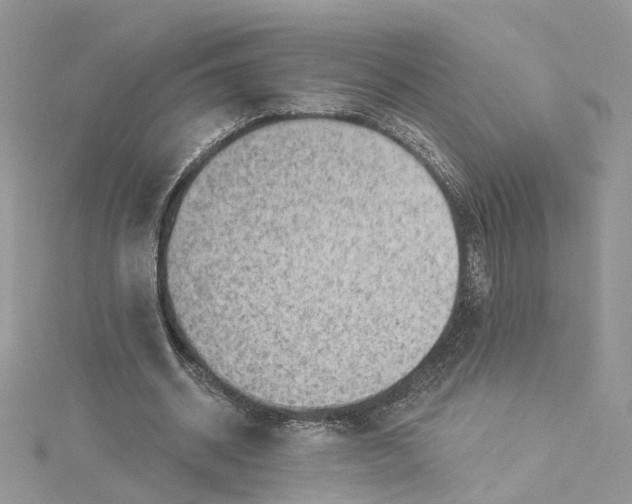 X0000114530534200911161338