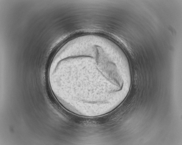 X0000114530535200911161338