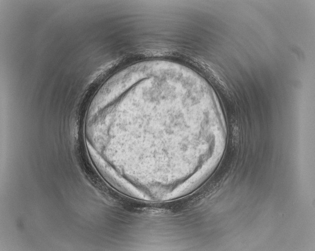 X0000114530539200911161338