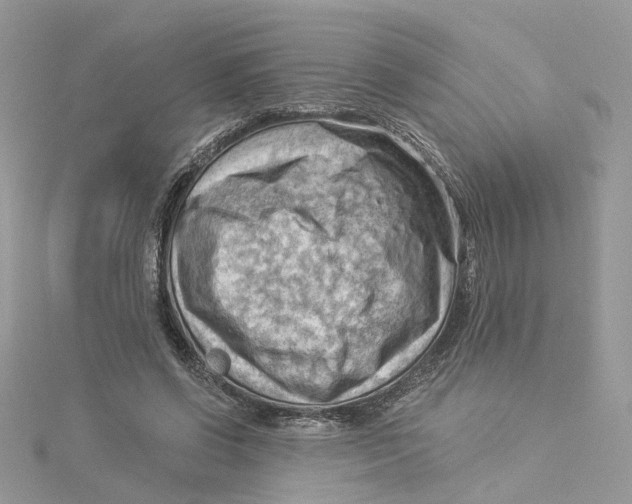 X0000114530542200911161339