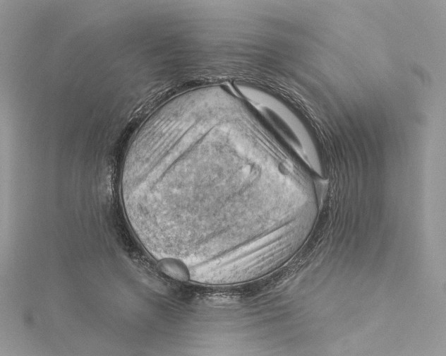 X0000114530546200911161339