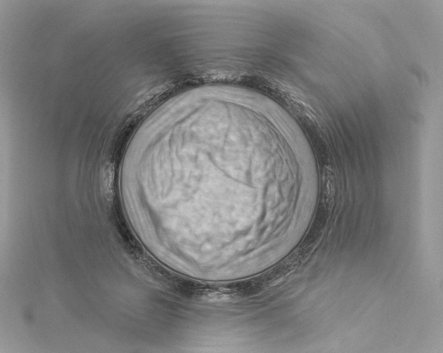 X0000114530550200911161339