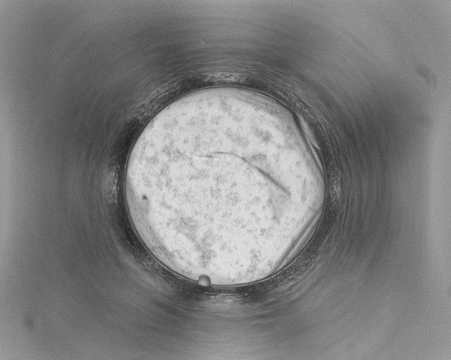 X0000114530551200911161339