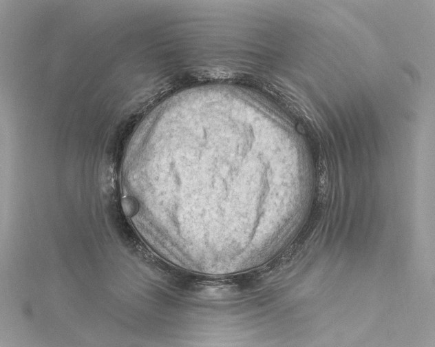 X0000114530555200911161339