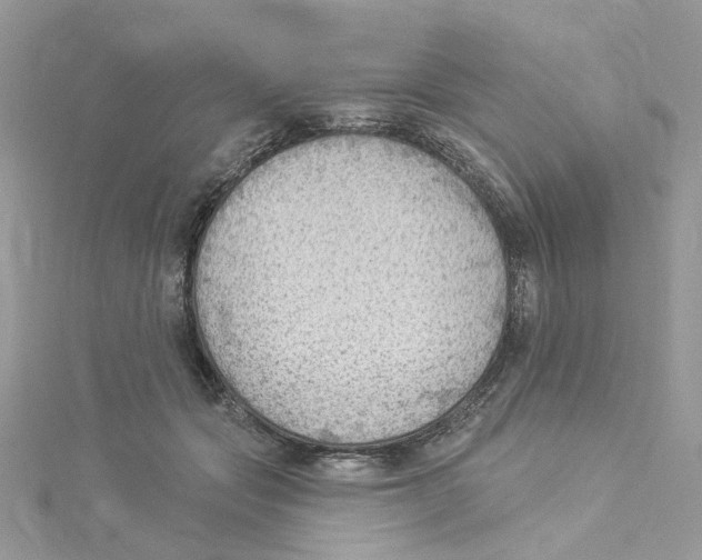 X0000114530557200911161339