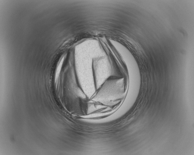 X0000114530558200911161339