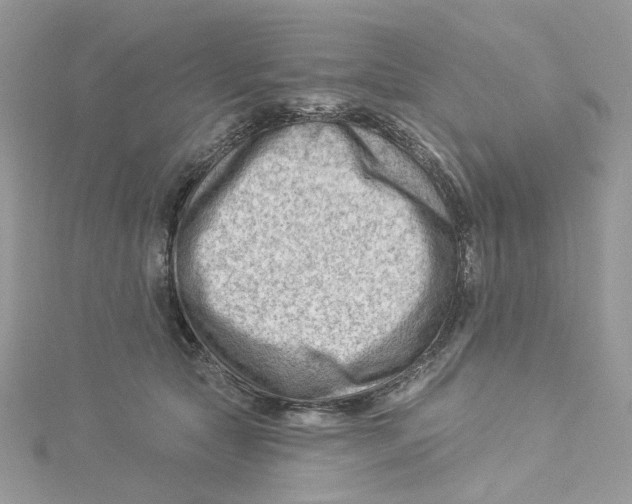 X0000114530561200911161339