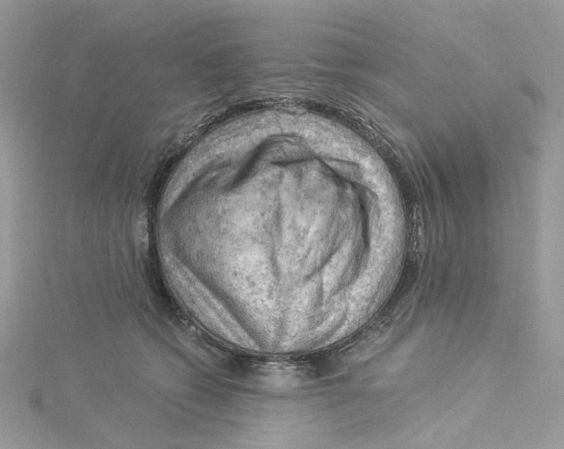 X0000114530562200911161339