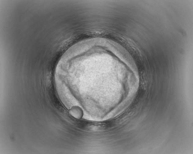 X0000114530563200911161339