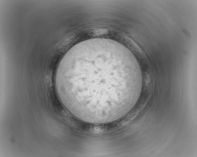 X0000114530565200911161339