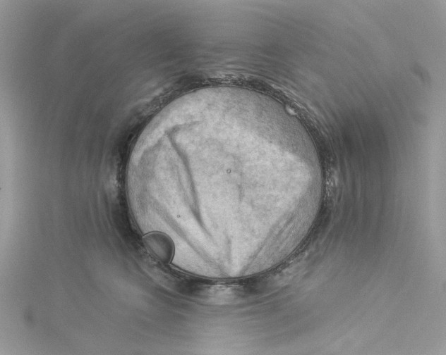 X0000114530566200911161339