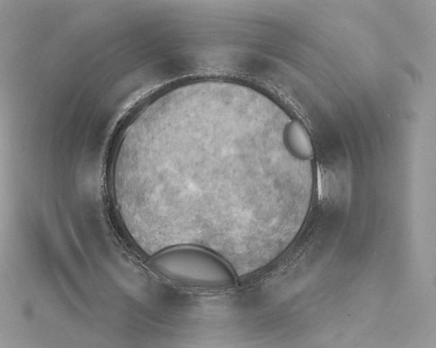 X0000114530579200911161338