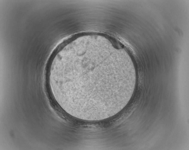 X0000114530580200911161338