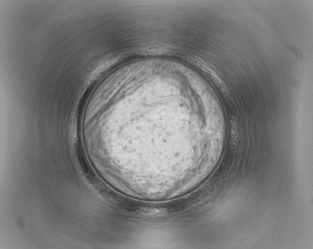 X0000114530582200911161338