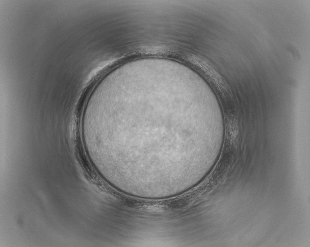 X0000114530583200911161338