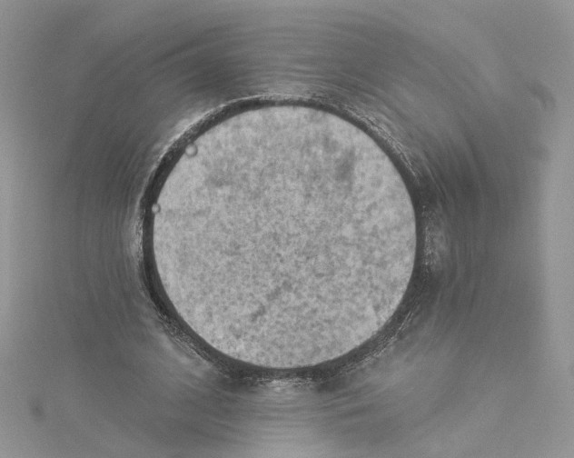 X0000114530584200911161338