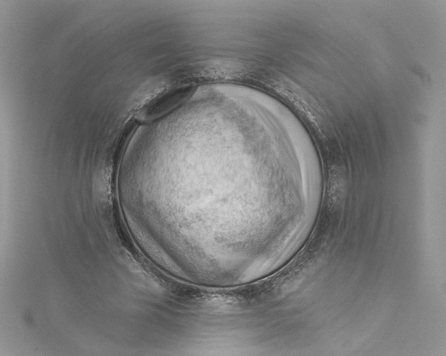 X0000114530585200911161338