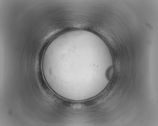 X0000114530587200911161338