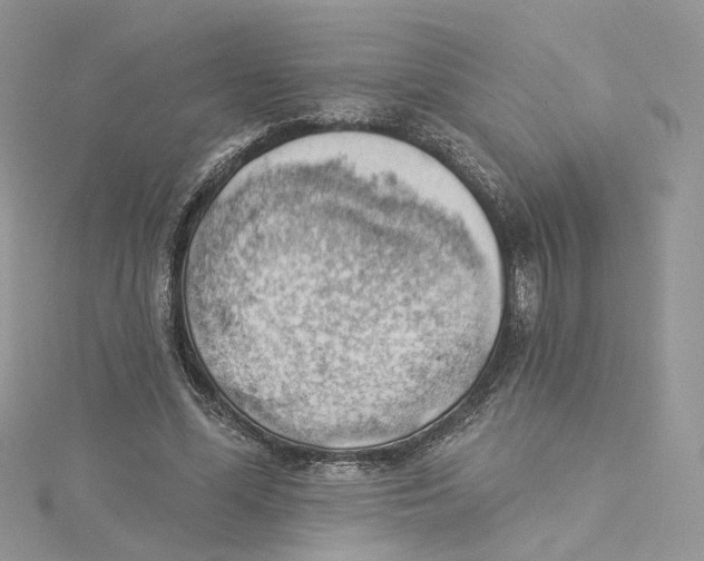 X0000114530588200911161338