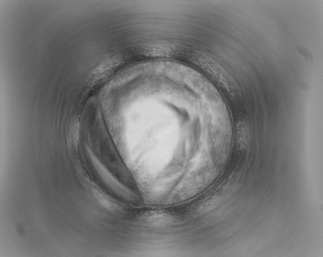 X0000114530589200911161338