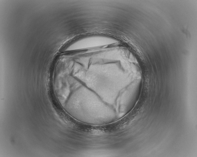 X0000114530592200911161338