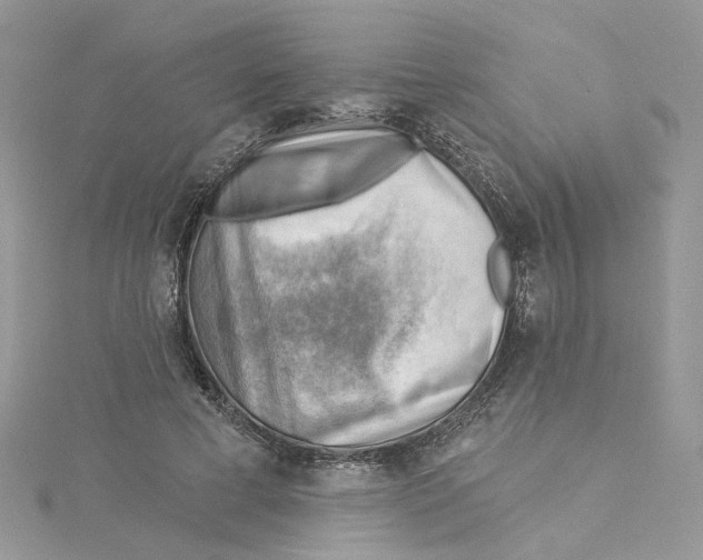 X0000114530593200911161338