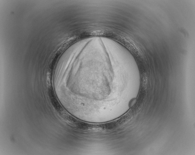 X0000114530598200911161338