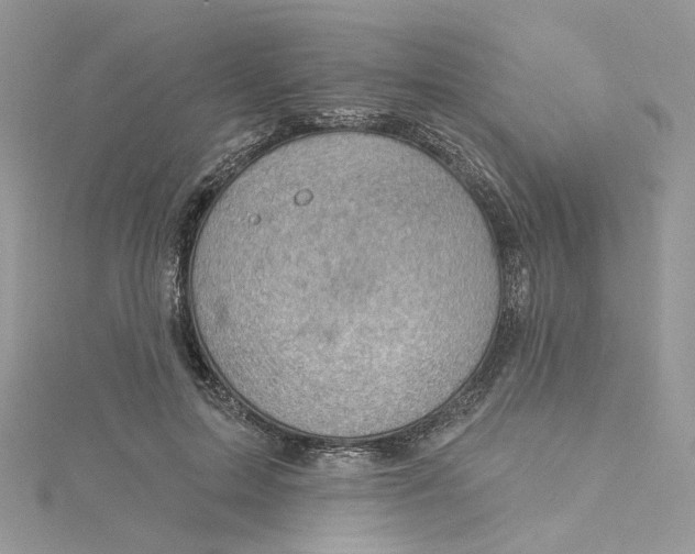 X0000114530599200911161338