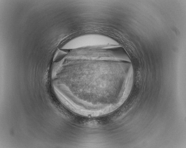 X0000114530600200911161338