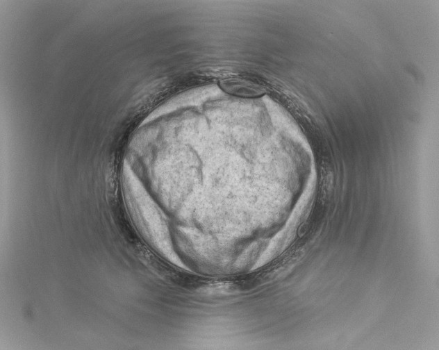 X0000114530609200911161338