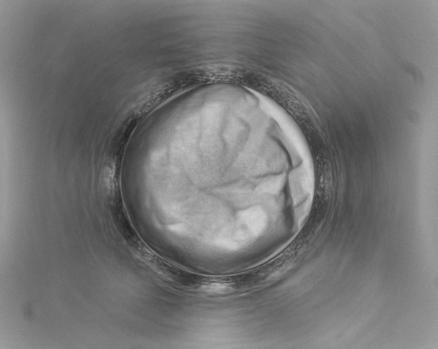 X0000114530610200911161338