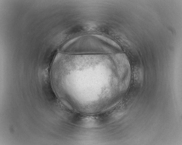 X0000114530611200911161338