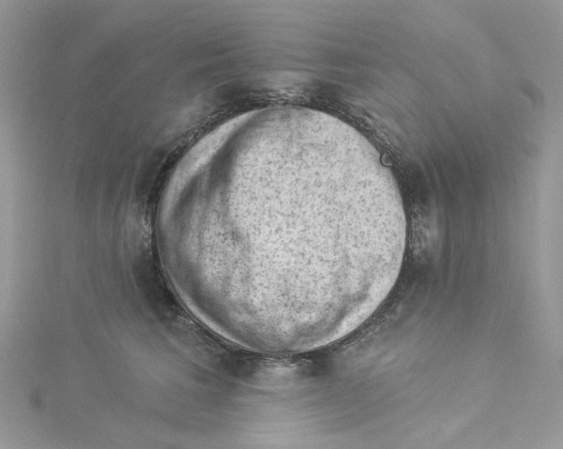 X0000114530613200911161338