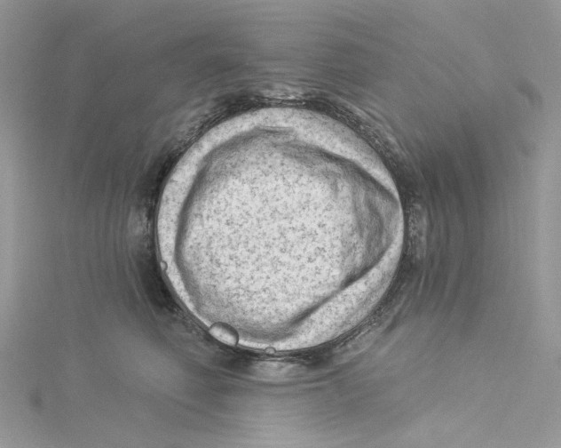 X0000114530614200911161338