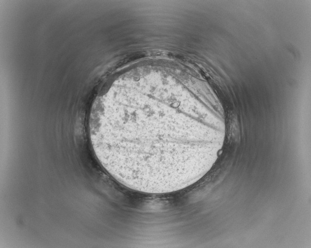 X0000114530616200911161338