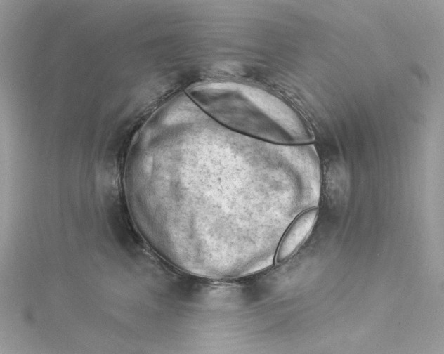 X0000114530617200911161338