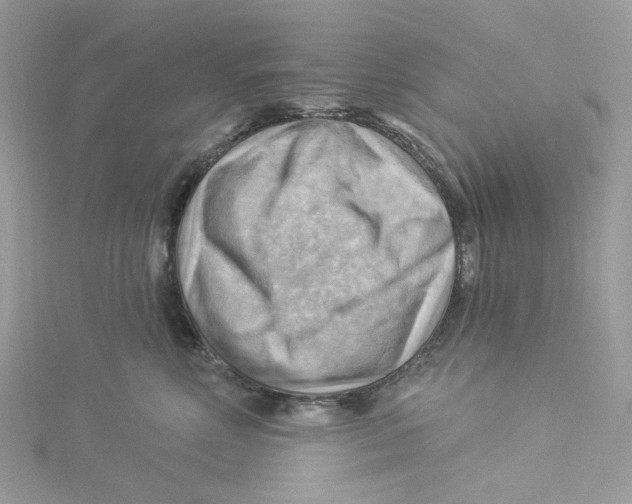 X0000114530618200911161338