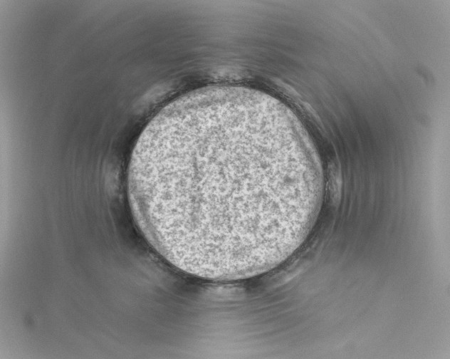 X0000114530619200911161338