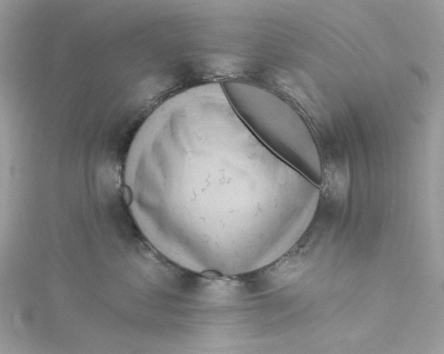 X0000114530621200911161338