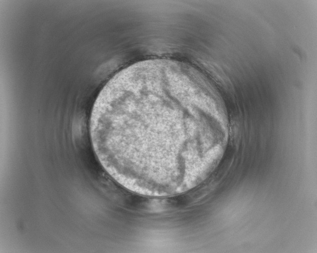 X0000114530623200911161338