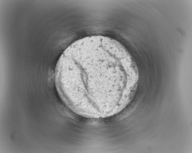 X0000114530624200911161338