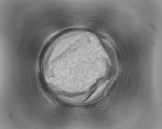 X0000114530628200911161337