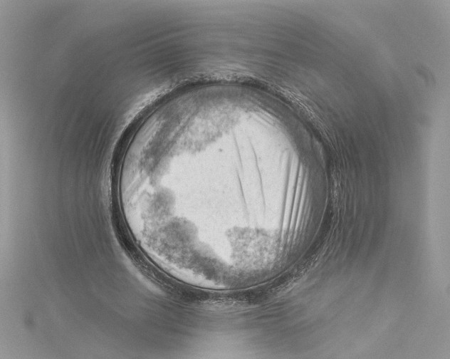 X0000114530630200911161337