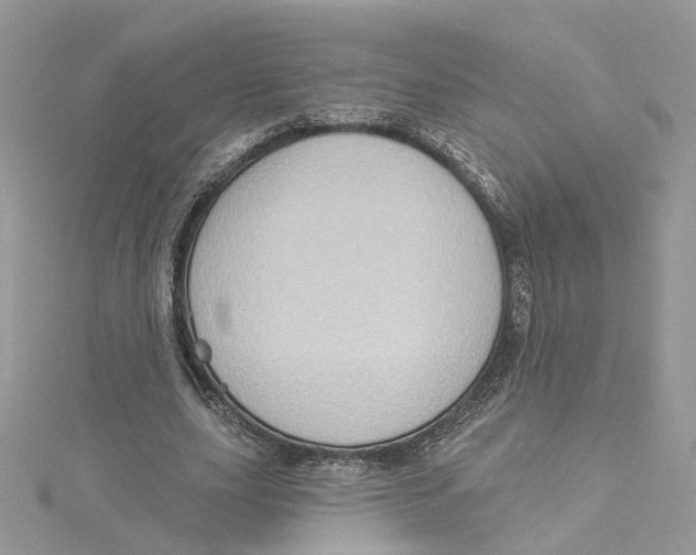 X0000114530631200911161337