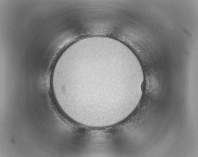 X0000114530632200911161337