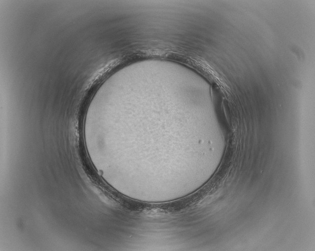 X0000114530634200911161337