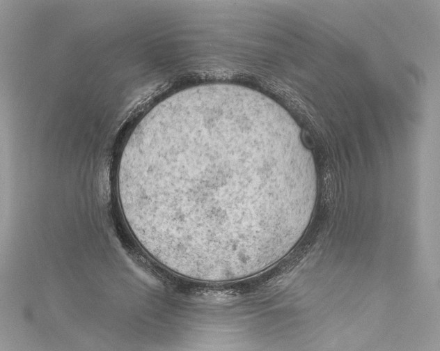 X0000114530638200911161337