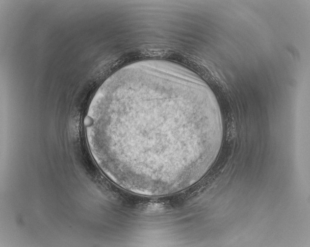 X0000114530647200911161337