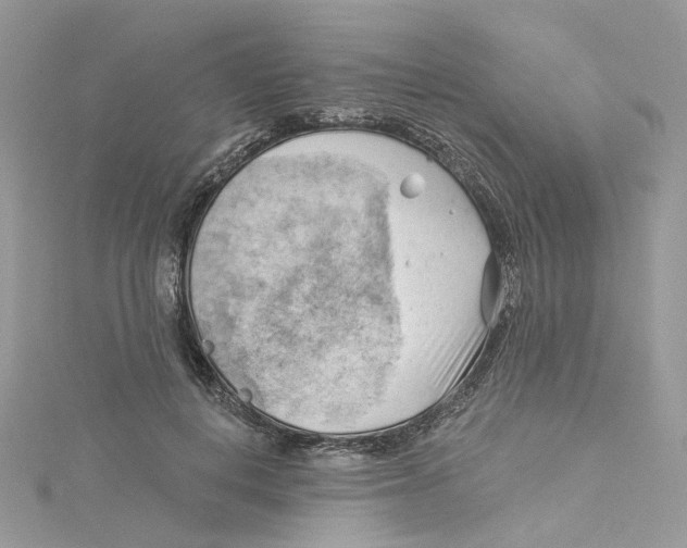 X0000114530648200911161337